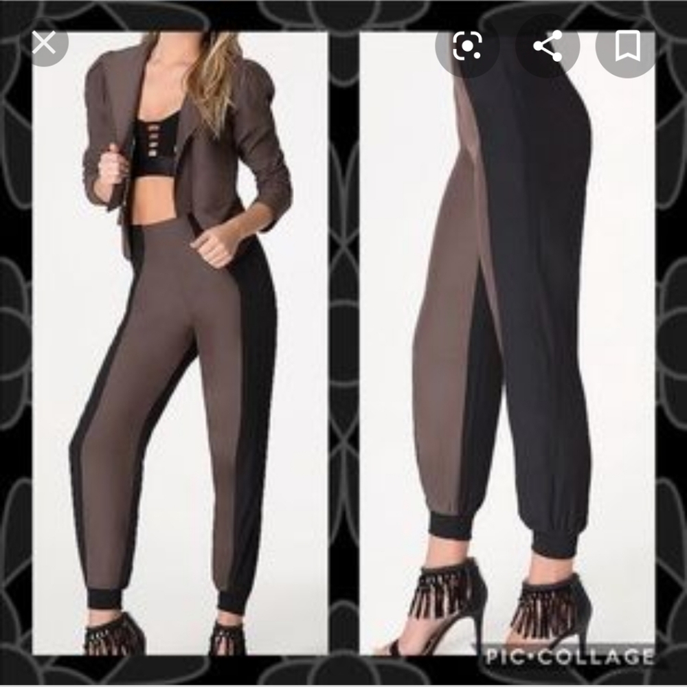bebe high waisted pant